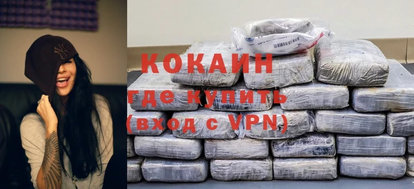 молекула духа Новодвинск