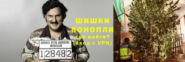 молекула духа Новодвинск