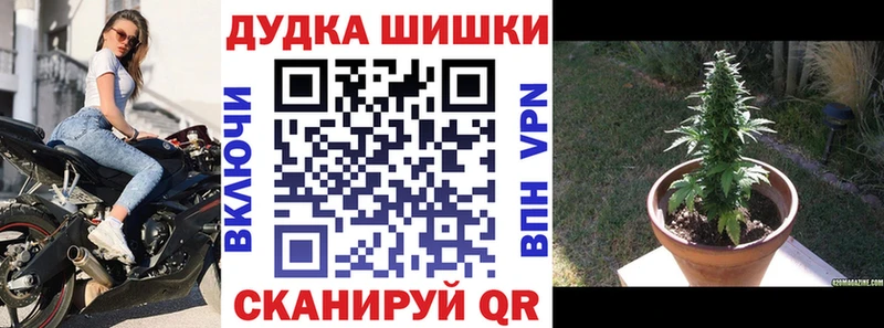 Бошки Шишки MAZAR  Собинка 